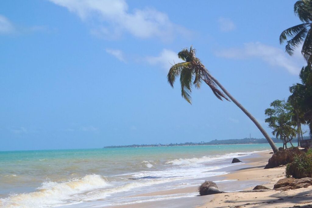 praias de maceio
