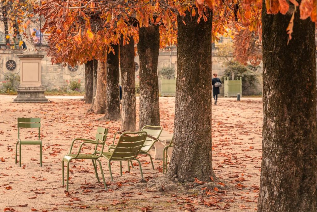 Outono em Paris