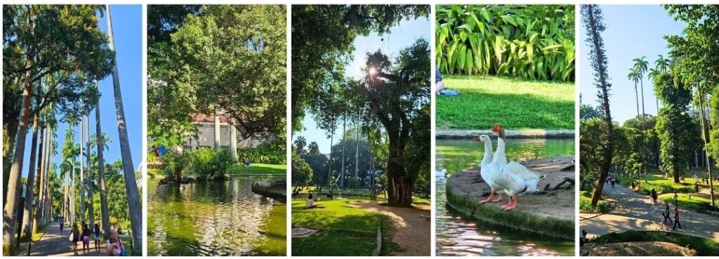 jardim do palácio do catete