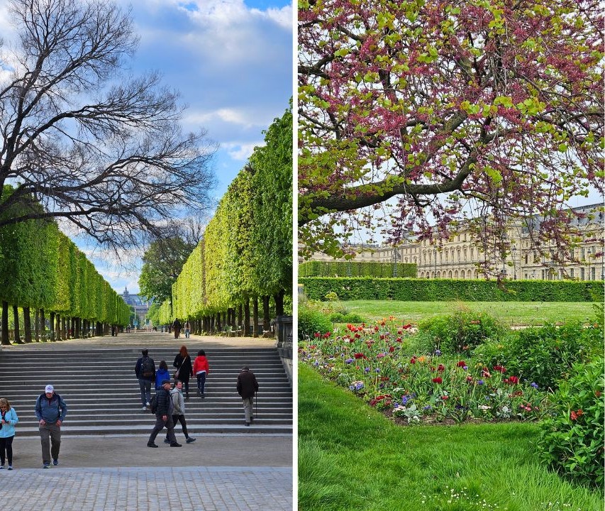 tuileries jardin