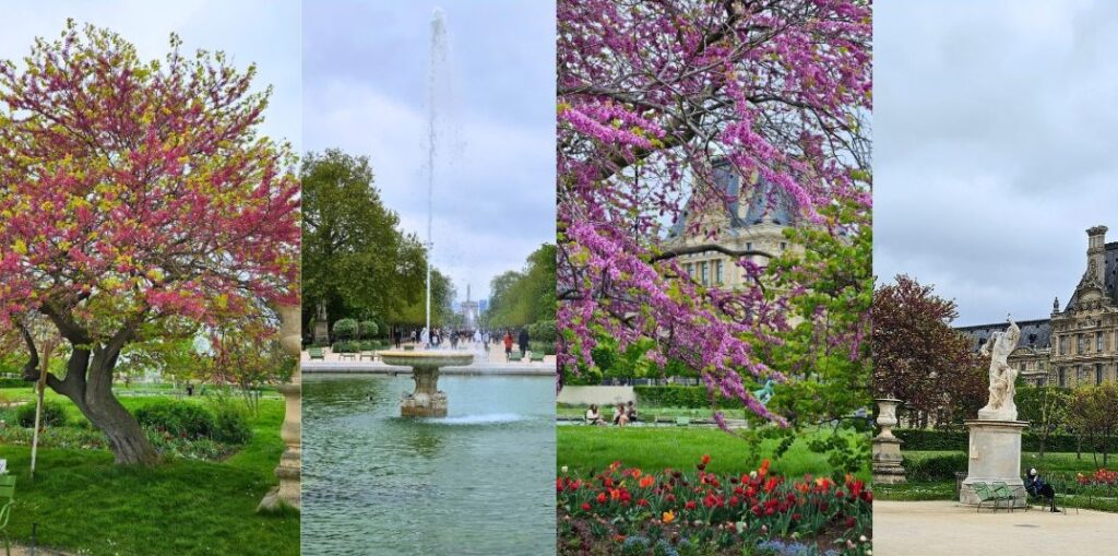 jardin de tuileries