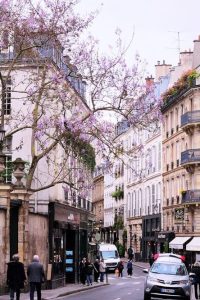rua de paris
